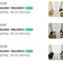 옥상달빛펜션 | 강릉 가성비 숙소 옥상달빛펜션 경포호 근처 추천