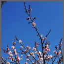 원동농장 이미지