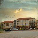 민들레요양병원 이미지