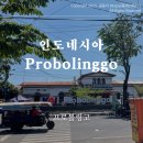 SK에너지(주)동부주유소 | 인도네시아 여행 프로볼링고 맛집 카페 브로모 화산 투어 출발지