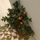 그마그로 | [제주/한림] 그마그로 A동 복층 독채 에어비앤비 2박 후기