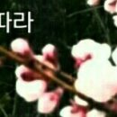 수기1리 | 경의선 수종사역에서 팔당역까지 걷기