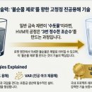 브이모멘텀