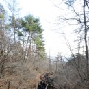 뜬봉샘 생태길 이미지