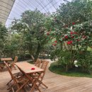 왕궁포레스트 이미지