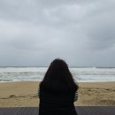장금이수라상 | 단풍이 들 새도 없이 벌써 낙엽이 지는 10월 정산🍂