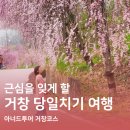 봄나들이 미술관투어 | 거창여행 l 수승대 덕천서원 임불마을 벚꽃 나들이 아너드투어
