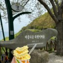 남해-15 | 남해 다랭이마을 유채꽃 절정 후기 개화시기 먹거리 식당 주차 정보 4월 남해여행 필수코스