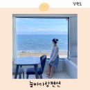 망상비치펜션Ⅱ | 묵호 숙소 추천 신상 오션뷰 감성 펜션 늘바다랑