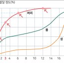 고려 유치원 이미지