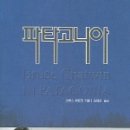 브루스템 이미지