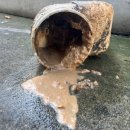 사이람레스토랑 이미지