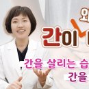 간이 나빠지면 생기는 증상, 간이 왜 나빠질까? 이미지