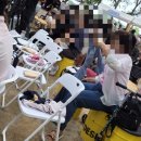 애기종합기획 | <2026 노원기차마을 축제> 다녀왔어요! 알차고 아쉬웠던 현장 후기