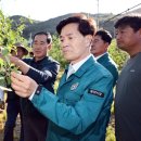 달사과마을 이미지