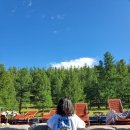 온천화장실(온천앞) 이미지