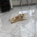 투디아 이미지