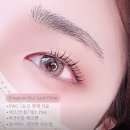비비룸