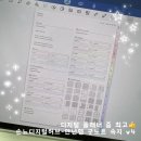 디지털허브 | [굿노트속지] 손뇨디지털허브 만년형 굿노트 속지 v4 후기