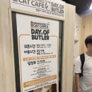 집사의하루 혜화점 이미지