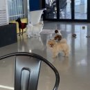 바로나도 수원영통 이미지