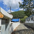 연최적충효정려 | [경남] 2024, 老巨樹 Tour II … 5. 함안 무기연당