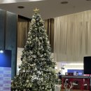 현대수영장 | 수영장 호캉스 김포 호텔 마리나베이서울 | 마리나스위트킹 수영장 조식 부대시설 후기 + 김포현대아웃렛