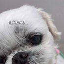 제형농장 이미지