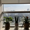 신사연정신건강의학과의원 이미지