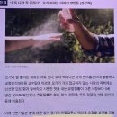 모기퇴치전등 2주간 쓰고 환불한 후기