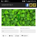 이루리농장 네이버블로그
