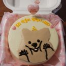 양재 도시락 케이크 추천 '리블리케이크'