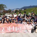 가야 고분군의 세계문화유산적 가치 이미지