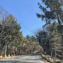 솔모로골프장 | 서울 근교 골프장 추천 솔모로CC 후기