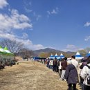 개화전기충전소 | 광양매화축제 완벽 가이드｜주차·셔틀버스·동선·포토존·개화절정 실시간 후기