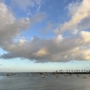 배들약국 이미지