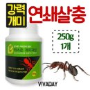 벅스존 - 서귀포시 일주동로 6242 | 벅스존