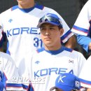 태극마크