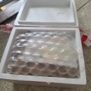 푸르름 | 국내산 캠벨포도 고당도 포도 추천 🍇 푸르름마켓 1.1kg 택배 후기