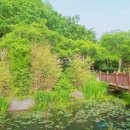 완산공원(정상) 이미지