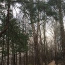 주식회사 디지털중부 이미지