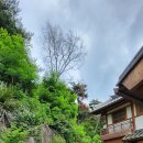 어울림터:마당 이미지