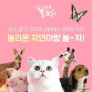 자연이랑자연으로 이미지