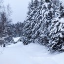 언덕위에 하얀집 이미지