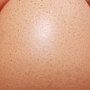 감먹은 토끼 이미지