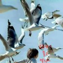 퓨전난타 이미지