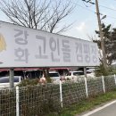 강화고인돌캠핑장 | 강화 고인돌 캠핑장 1박 후기