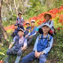 배산성지 이미지