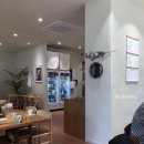 둥굴림만두 이미지