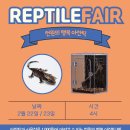제41회 렙타일페어 티켓 구매/방문후기